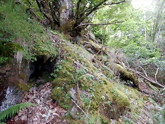 DSCN1365 DSCN1365
