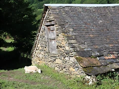 IMG_6748 IMG_6748