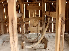 IMG_7799 IMG_7799