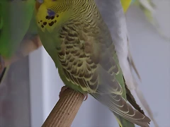 PC140047