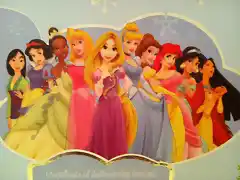 disney-store-princess-princ