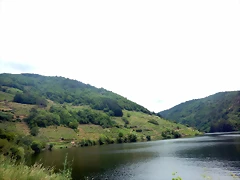 DSCN3460 DSCN3460