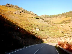 DSCN1699 DSCN1699