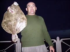 mismo rodaballo mismo rodaballo