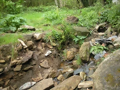 DSCN4151 DSCN4151
