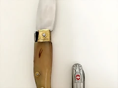 44