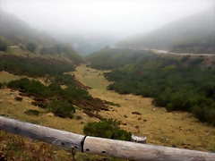 DSCN6588 DSCN6588