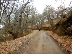DSCN9456