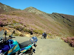 DSCN9355 DSCN9355