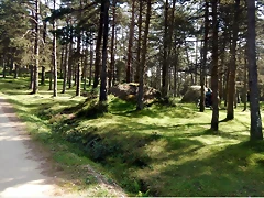 DSCN0541 DSCN0541