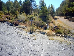 DSCN9423 DSCN9423