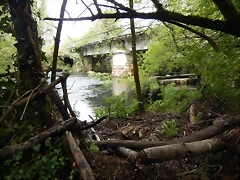 DSCN9185 DSCN9185