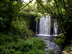 DSCN7454 DSCN7454
