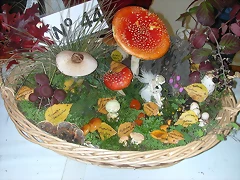 DSCN4514 DSCN4514