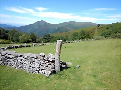 DSCN8323 DSCN8323