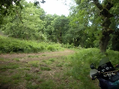 DSCN2744 DSCN2744