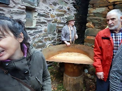 DSCN0346 DSCN0346