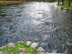 088-IMG_3680 088-IMG_3680