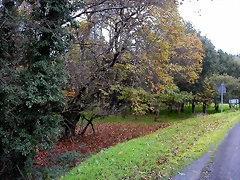 DSCN6438 DSCN6438