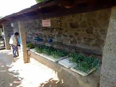 DSCN5955 DSCN5955