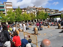 Navarra 2011 vuelta a Madrid 014 Navarra 2011 vuelta a Madrid 014