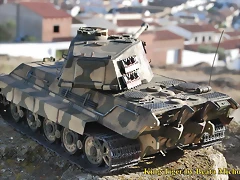 tygrys krlewski 123