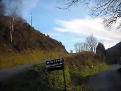 DSCN2546 DSCN2546