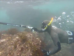 GOPR0533