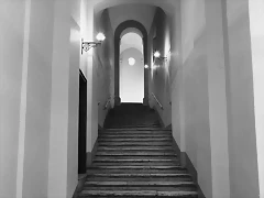 bramante-scalone7