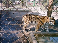 PIC04905