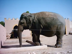 PIC04903