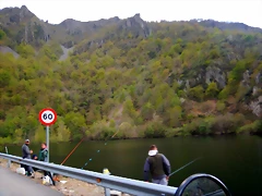 DSCN4225 DSCN4225