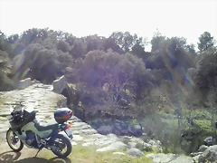 babieca y puente