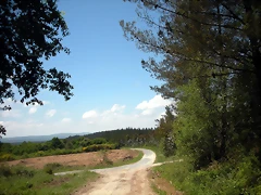 DSCN5392