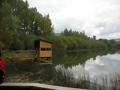 DSCN6169 DSCN6169
