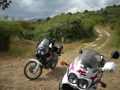 DSCN6142 DSCN6142