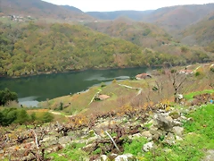 22-IMG_3872 22-IMG_3872