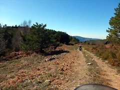 DSCN3739 DSCN3739