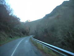 DSCN2432 DSCN2432
