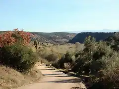 el salto