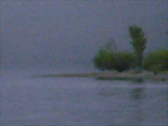 P2100096 P2100096