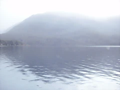 P2100098 P2100098