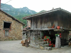 DSCN3706 DSCN3706