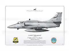 a-4ar-fightinghawk-c-905-argentina-cz-04