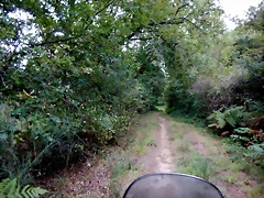 DSCN7355 DSCN7355