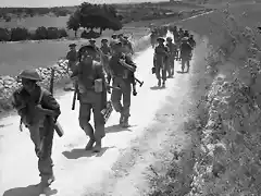 Hombres del 2nd Seaforth Highlanders avanzan  a lo largo de la carretera cerca de  Noto, 11 Julio 1943.