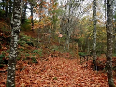 DSCN1305