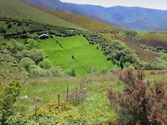 87-IMG_6428