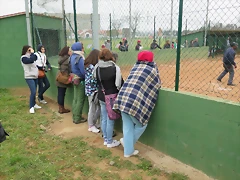 IMG_0781 IMG_0781