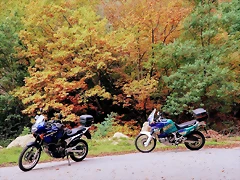 DSCN1909'2 DSCN1909'2